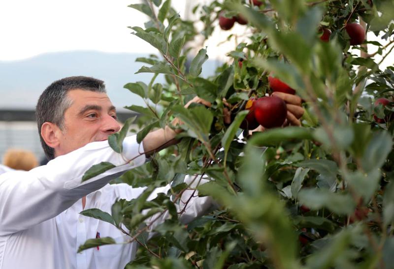 "ისე, რომ გეკითხა, - როცა პოლიტიკიდან წავალ, ფერმერი გავხდებიო"  - რას წერს ნინო ზამბახიძე გიორგი გახარიაზე?