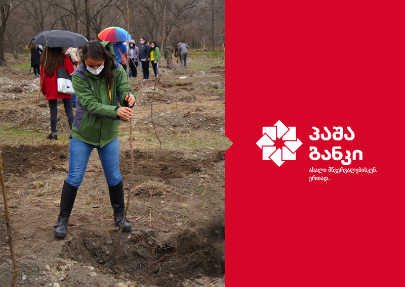 პაშა ბანკმა კრწანისის ტყე-პარკში ხეების დარგვისა და დასუფთავების აქციაში მიიღო მონაწილეობა