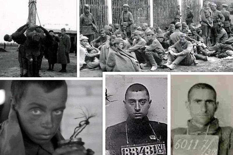 ფოტოები, რომელზეც ის საკონცენტრაციო ბანაკია ასახული, სადაც 200-მდე ქართველი ტყვე ჰყავდათ - "ეს რაიხისთვის იყო განკუთვნილი, მაგრამ, სავარაუდოდ, დაიწუნეს"