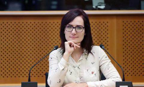 "თუ საქართველოში მიმდინარე პროცესებზე 7 ევროპარლამენტარის განცხადება საკმარისი არ არის, მე-8 ვიქნები, ვინც ამ განცხადებას შეუერთდება" - გრეგოროვა