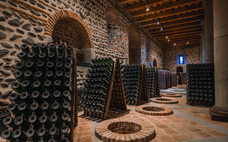 KTW ჯგუფის უნიკალური ვენახები ქართლში - ქართული მეღვინეობის ხვალინდელი დღე