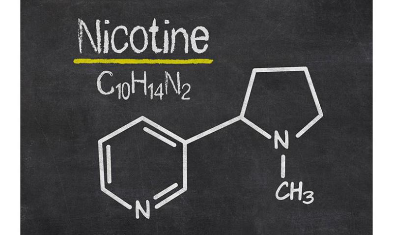 რა არის ნიკოტინი და როგორ მოქმედებს ის ადამიანის ჯანმრთელობაზე?