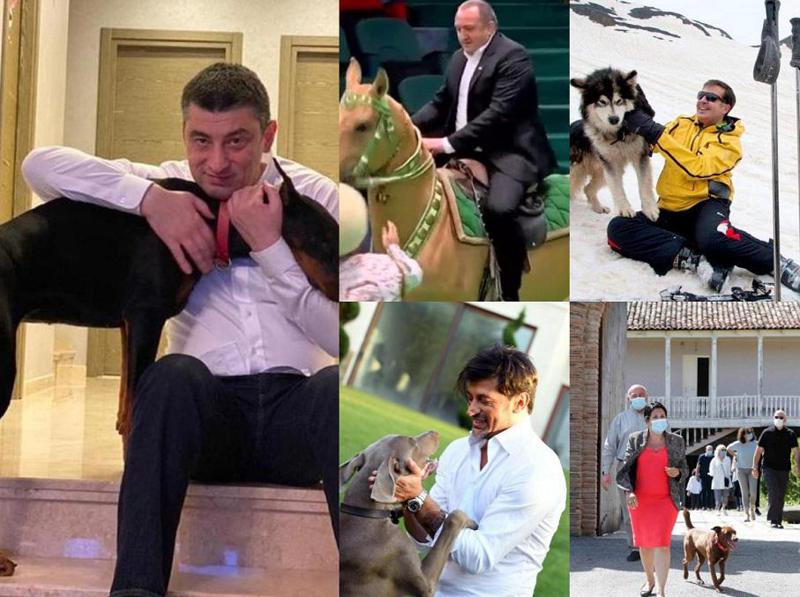 ცხენები, ძაღლები, კატები და შვლის ნუკრი - პოლიტიკოსების ფოტოები საყვარელ ოთხფეხა მეგობრებთან ერთად