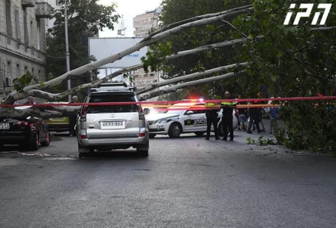 თბილისში, თამარ მეფის ხიდთან, ავტომანქანას ხე დაეცა