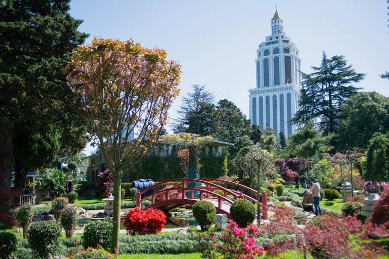 ბათუმის ბულვარში საკურა აყვავდა - ულამაზესი ფოტოები ზღვისპირა ქალაქიდან