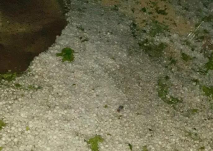 სტიქია კახეთში - განადგურებულია ვენახების ნაწილი