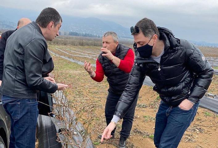 იქნება თუ არა აჩი არველაძე "გახარიას გუნდიდან" თბილისის მერობის კანდიდატი? - აჩი არველაძის კომენტარი