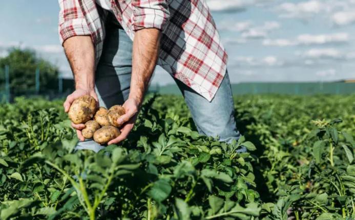 გერმანიაში დასაქმების სურვილი 98 443 მოქალაქემ გამოთქვა, ისრაელში კი - 1 427-მა - რა ინფორმაციას ავრცელებს დასაქმების ხელშეწყობის სააგენტო