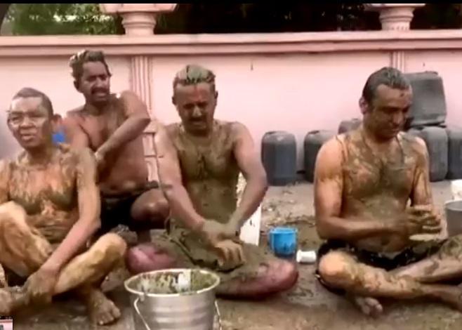 კორონავირუსის პრევენცია ძროხის ფეკალიებით - ინდოეთში ვირუსს უჩვეულო მეთოდით ებრძვიან: რას აცხადებენ ექიმები