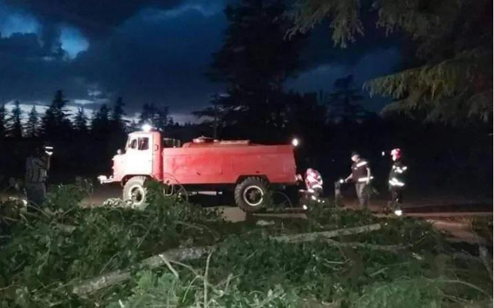 ჩოხატაურში ძლიერი წვიმისა და ქარის გამო სახლები და ელექტროგადამცემი ხაზები დაზიანდა, წაქცეულია ხეები
