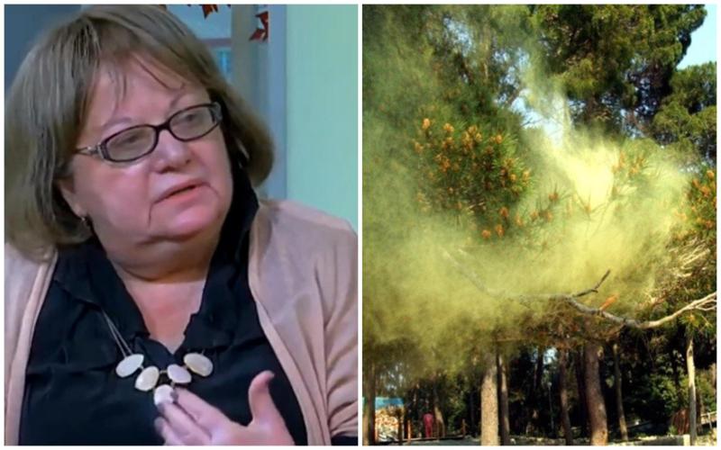 ვისთვის არის სასარგებლო დამტვერვით მკურნალობა და სად უნდა დაისვენონ ალერგიულმა ადამიანებმა - იმუნოლოგის რეკომენდაციები