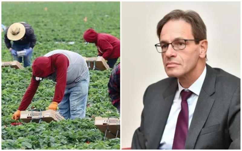 "ინფორმაციის გავრცელების შემდეგ გერმანულ უწყებებთან მქონდა კონტაქტი და..." - რას ამბობს ელჩი სეზონურ სამუშაოებზე დასაქმებულ საქართველოს მოქალაქეებზე?