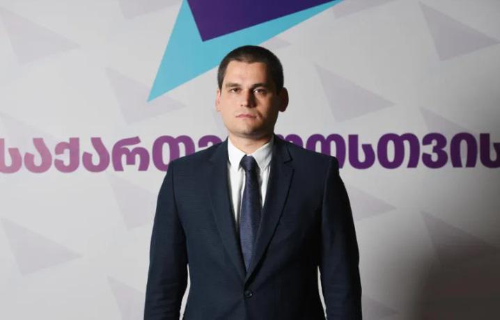 "დადგინდეს, თუკი ვინმეს გადატრიალება ჰქონდა მომზადებული, სხვაგვარად ეს იქნება მხოლოდ ჭორაობა" - მიხეილ დაუშვილი მმართველი პარტიის ბრალდებებზე