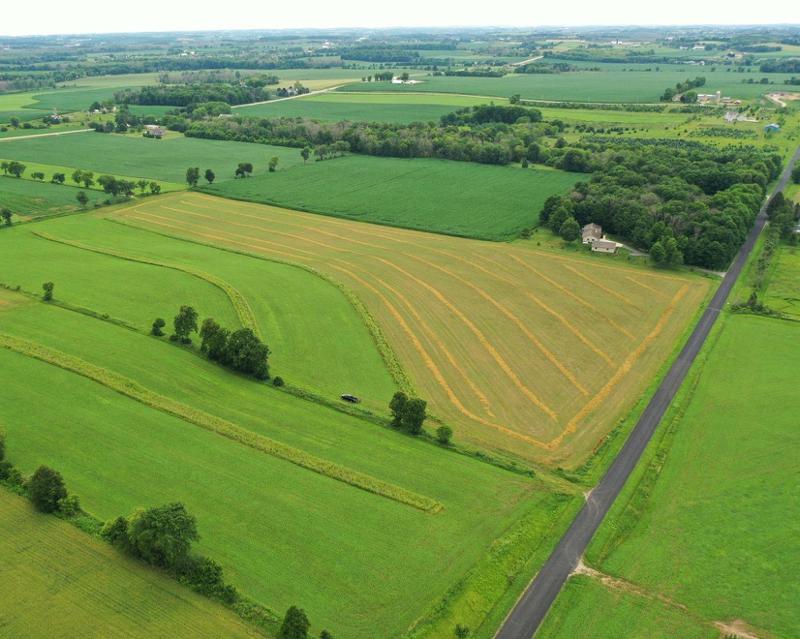 სად და რა ფასად ყიდის სახელმწიფო სასოფლო-სამეურნეო მიწის ნაკვეთებს