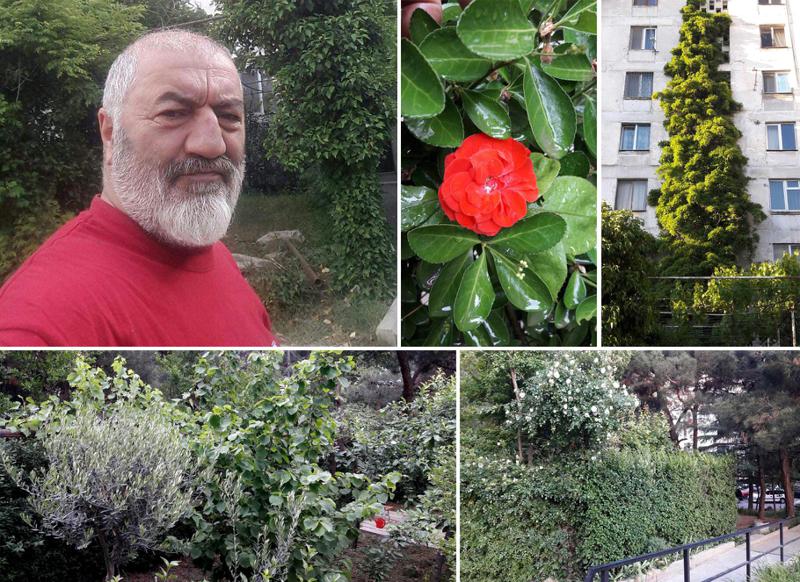 "ფანჯრიდან გადმოვყურებ და მიხარია ასეთ სიმწვანეში ყოფნა, ვინც აქ გაივლის, აღფრთოვანებულია" - როგორ გააშენა გია ჯაფარიძემ ყვავილებისა და ხეხილის ბაღი საკუთარი კორპუსის ეზოში