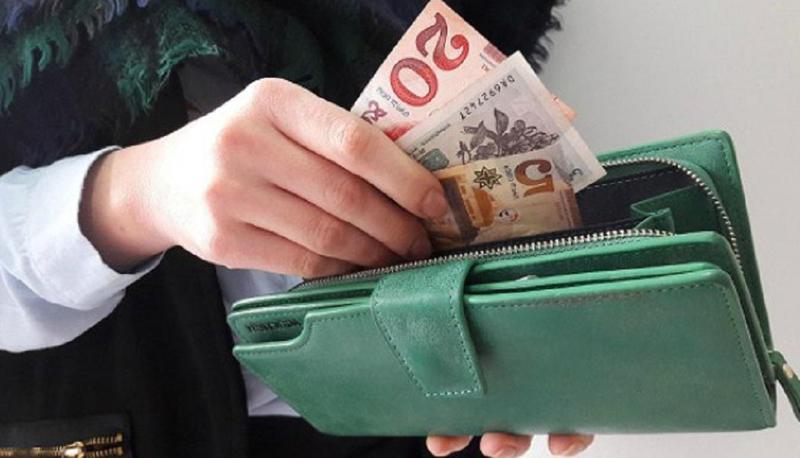 რა თანხით დააფინანსებს სახელმწიფო ემიგრაციიდან საქართველოში დაბრუნებულებს - გრანტს 185 მიგრანტი მიიღებს