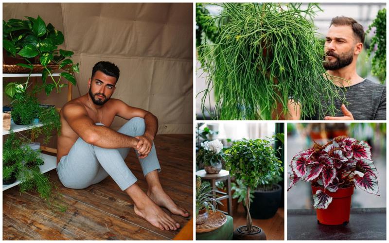 "მე და გიორგიმ მცენარეების ამგვარად რეკლამირება გადავწყვიტეთ... ამაში ჩვენს ვიზუალსაც ვიყენებთ" - მეყვავილე ბიჭების ისტორია და წარმატების საიდუმლო