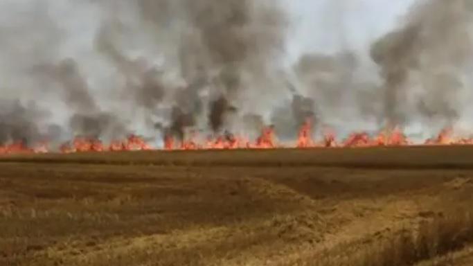 კახეთში, შირაქის მინდვრებში ხანძარი გაჩნდა