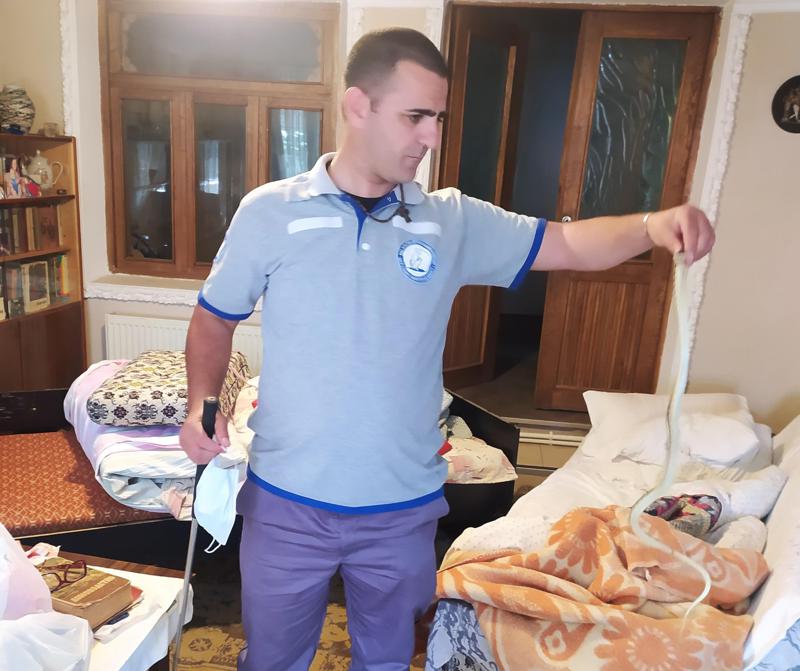 "წელს თბილისში უკვე 4 გიურზა დავიჭირეთ" - დედაქალაქის რომელ რაიონებშია შხამიანი გველების გავრცელების არეალი და როგორ დავიცვათ მათგან თავი?