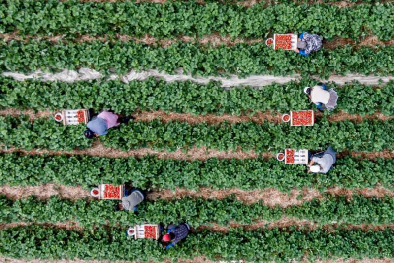 "ხენდრო და უბედურება“ - რას წერს გერმანული გამოცემა ამ ქვეყნაში ჩასული ქართველი მუშების საცხოვრებელ პირობებზე?