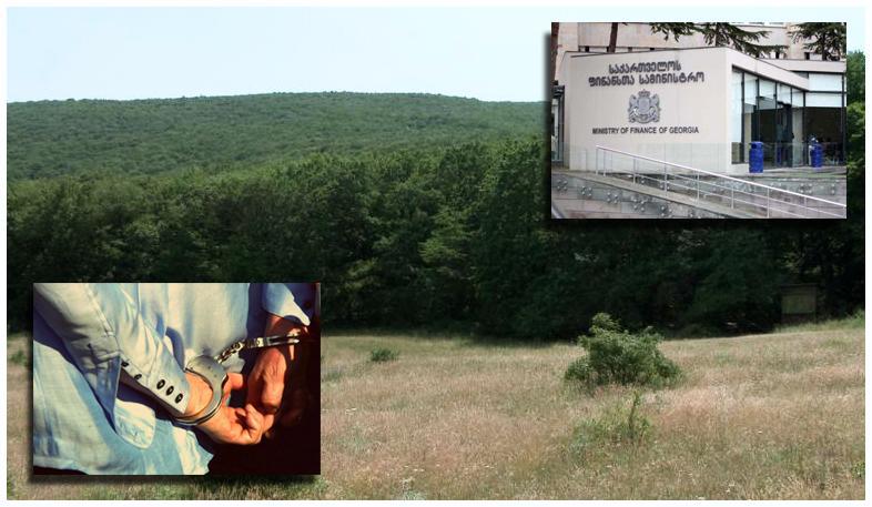 დაკავებულებმა 1 300 000-მდე ლარის ღირებულების 24 600 კვ.მ მიწის ნაკვეთები მოტყუებით დაირეგისტრირეს - რა ინფორმაციას ავრცელებს ფინანსთა სამინისტრო