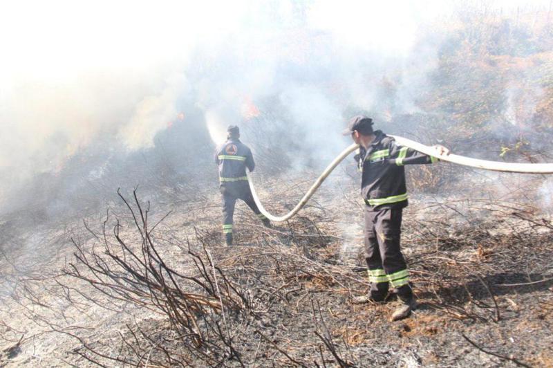 დაიწვა 4 ჰექტარი ტყის საფარი - ვაშლოვანის დაცულ ტერიტორიაზე ხანძარი ჩააქრეს
