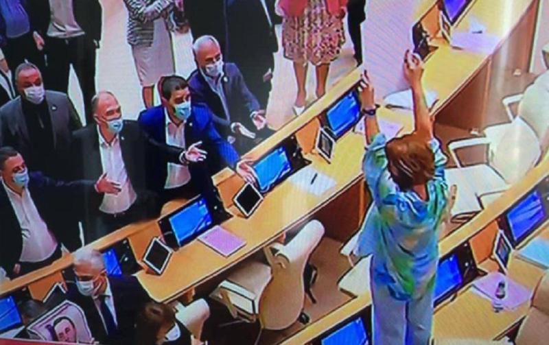 "ნაციონალური მოძრაობის“ დეპუტატი ნონა მამულაშვილი პარლამენტის სხდომათა დარბაზში მაგიდაზე ავიდა, საიდანაც ირაკლი ზარქუამ ჩამოსვა (ვიდეო)