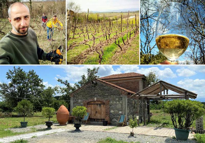 "მე და ჩემი ოჯახის წევრები ამ საქმეზე შეყვარებული ვართ, აქ ყველაფერი ჩვენი ხელითაა გაკეთებული" - ცნობილი იურისტის ვენახი და მშვენიერაძეების მშვენიერი ღვინის ამბავი