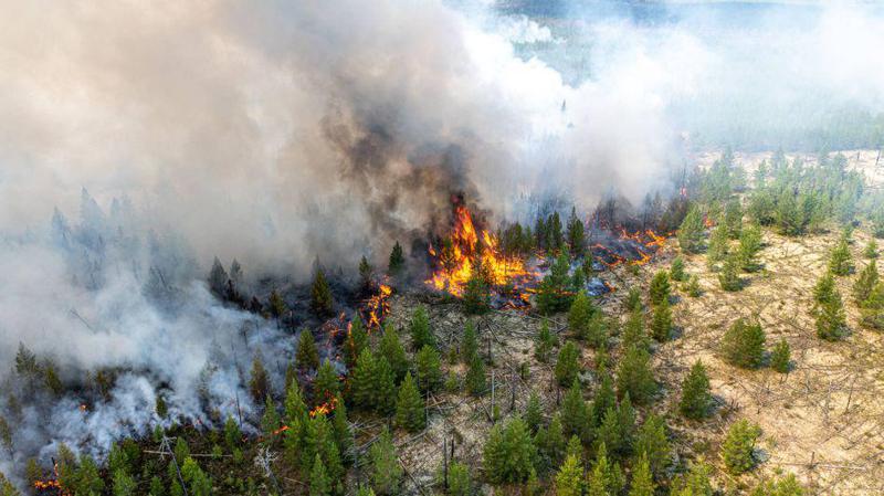 "რუსეთში ასეულობით ტყის ხანძარი ბობოქრობს, მათი კვამლი გლობალურ დათბობას აძლიერებს, ხელისუფლება კი მხოლოდ მაყურებლის როლშია" - რას წერს გერმანული გამოცემა?
