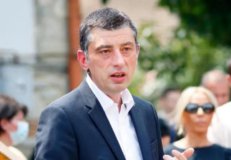 "არ ვფიქრობ, რომ პროტესტის ეს ფორმა, შიმშილობა, იმ შედეგამდე მიგვიყვანს, რაც ქვეყანას სჭირდება" - გიორგი გახარია