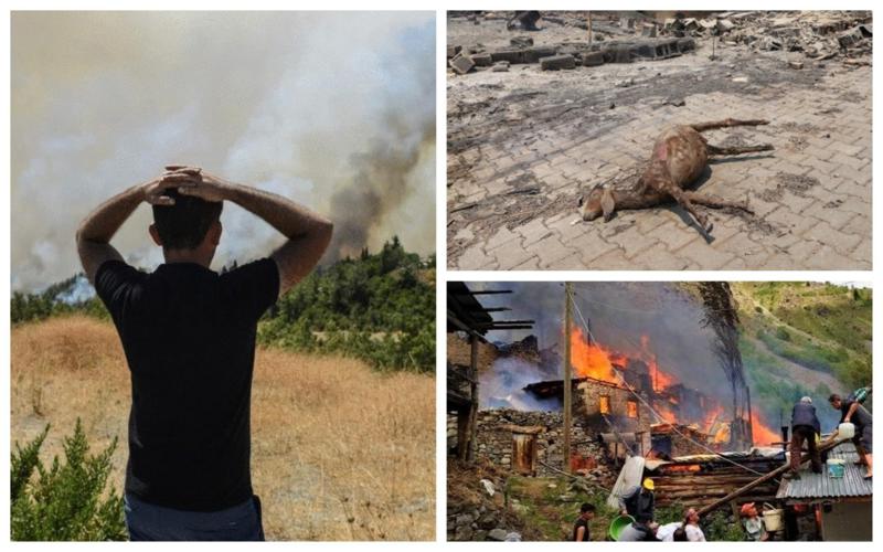 "ღამით ცეცხლის ალყაში მოქცეული ცხოველების განწირული ხმები ისმოდა... თვალწინ აპოკალიფსის სცენა იყო" - ანტალიაში მცხოვრები ქართველები უმძიმეს ვითარებაზე
