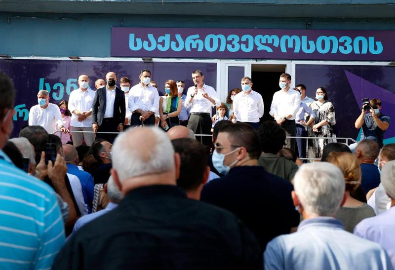 ზეწოლის და პოლიტიკური საქმიანობისთვის ხელის შეშლის შემთხვევები უმეტესად ყოფილი პრემიერის, გიორგი გახარიას პოლიტიკური ძალის წინააღმდეგ შეინიშნებოდა - ISFED