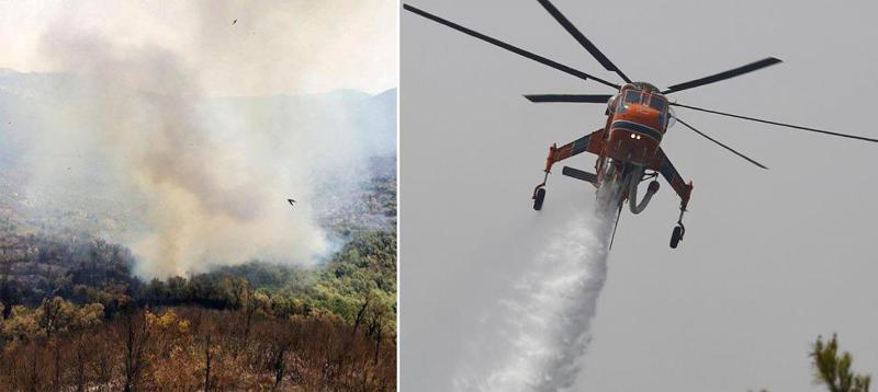 ალჟირში ტყის ხანძრებს 65 ადამიანის სიცოცხლე ემსხვერპლა - რა ვითარებაა მეზობელ საბერძნეთში, სადაც ერთი კვირაა ტყეებს ხანძარი ანადგურებს