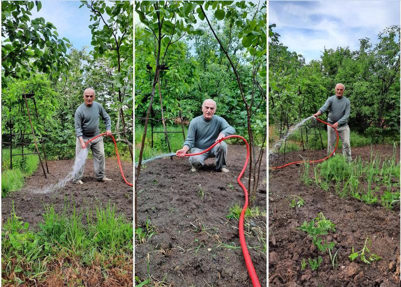 "სანამ ის ნერგები ჩემამდე მოვიდოდა, ისეთი განცდა მქონდა, თითქოს შვილს ველოდებოდი..." - ეგზოტიკური ხეების მოყვარული, რომელიც უცხოეთიდან ჩამოტანილ მცენარეებს ახარებს