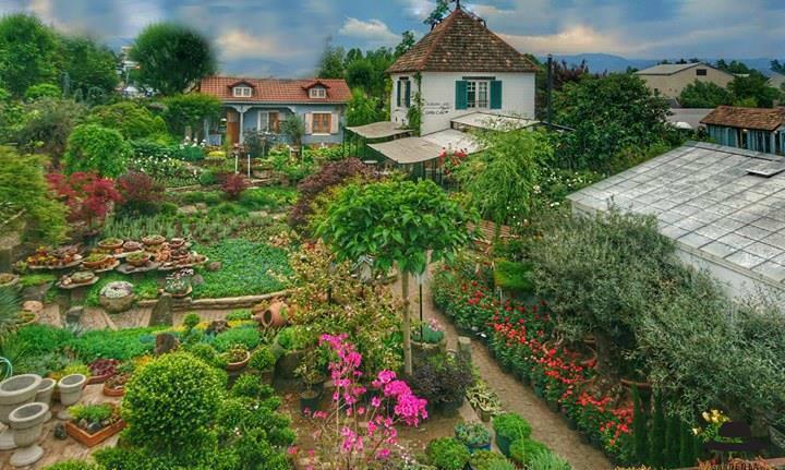 კოვიდრეგულაციების დარღვევის გამო, "გარდენია"  დროებით დაილუქება