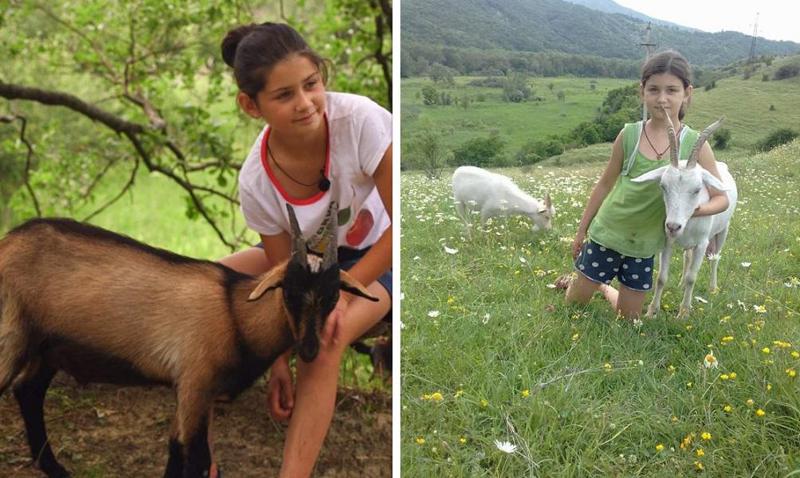 "ნანუკამ იცის, თითოეული ციკანი რომელი თხისაა..." - 10 წლის ფერმერი გოგონას შთამაგონებელი ამბავი - როგორ აქცია მოზარდმა ცხოველებზე ზრუნვა ბიზნესად