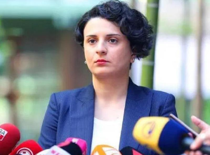 "სუს-ი ივანიშვილის პროპაგანდისტულ ტელევიზიად იქცა და არჩევნებამდე სერიებად შემოგვთავაზებს სანახაობას..." - ნათია მეზვრიშვილი