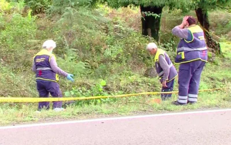 გურიაში ავტოსაგზაო შემთხვევას მოზარდი ემსხვერპლა