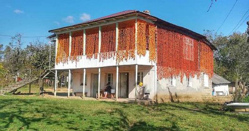 რატომ ამზადებენ სამეგრელოში "ხურმის ფარდებს“ და საიდან მოდის  შემოდგომის ულამაზესი ტრადიცია