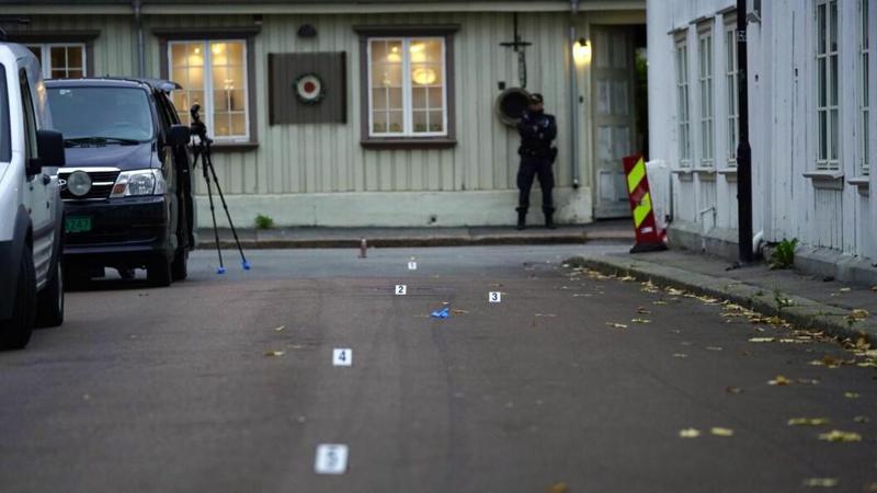 მკვლელობები მოხდა დამნაშავის პოლიციასთან პირველი შეჯახების შემდეგ - "ის 35 წუთის განმავლობაში გადაადგილდებოდა ნორვეგიულ ქალაქში და მშვილდ-ისრით კლავდა ადამიანებს"