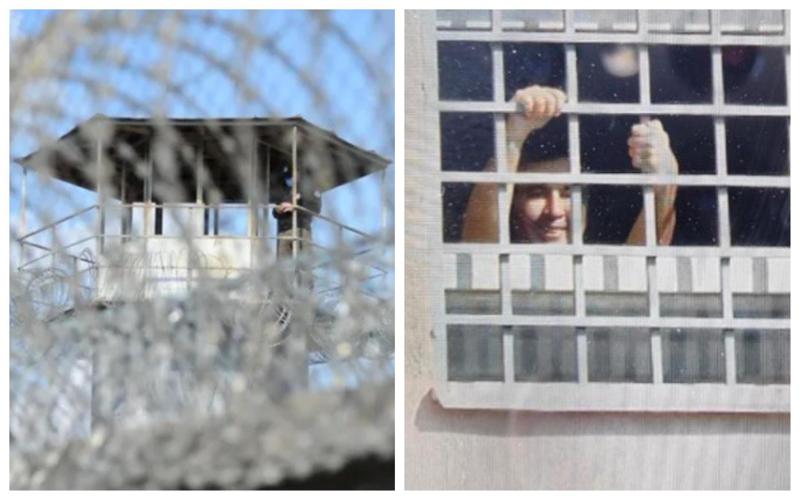 "მინა შეიცვალა მხოლოდ საშხაპეში, რომელიც სააკაშვილმა მიმართვის დროს დააზიანა" - პენიტენციური სამსახური კობა კობა ნაყოფიას ბრალდებას პასუხობს