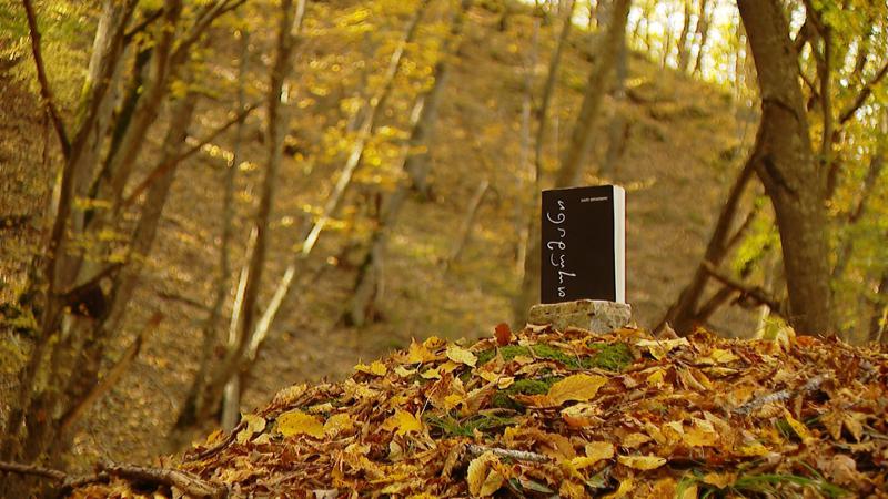 არემჯის მხარდაჭერით, მე-20 საუკუნის მოდერნისტი მწერლის, ბასილ მელიქიშვილის წიგნი გამოიცა