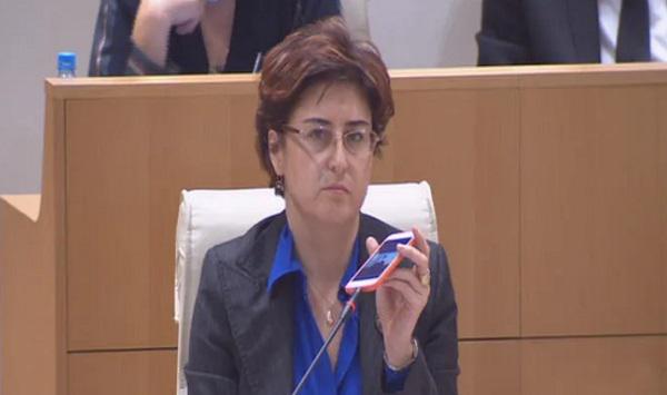 ხათუნა სამნიძემ პარლამენტის სხდომაზე დეპუტატებს ედუარდ სააკაშვილის მიმართვის ჩანაწერი მოასმენინა