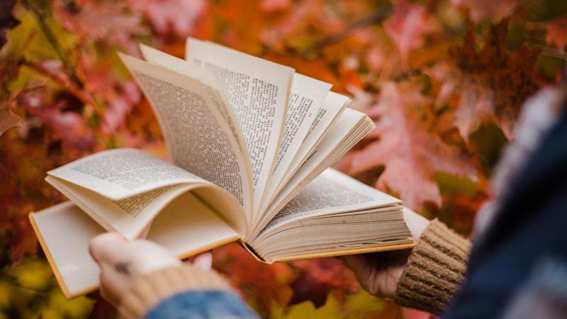 5 ბესტსელერი, რომელიც ნოემბერში უნდა წაიკითხო