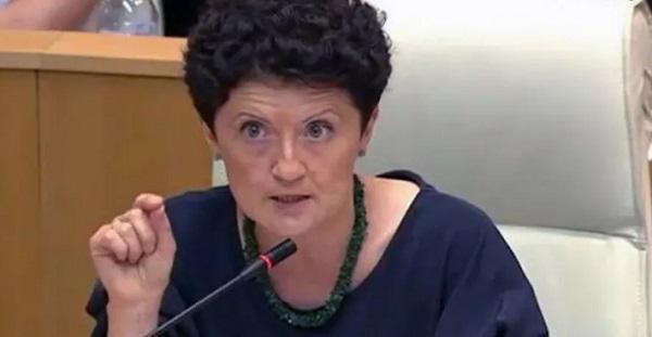 "აქ რომ დადექით და რუსული ხომალდის ლოზუნგი გაშალეთ, ჩემზე არ მოქმედებს - ქართველი კაცი რომ ვიყო, შეიძლება მუშტი გამექცეს" - წულუკიანი ოპოზიციას