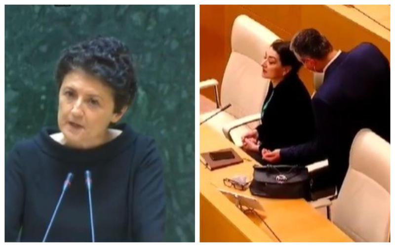 "თქვენ ხართ ივანიშვილის მონა, "მონა ქალი იზაურა... ვინც თქვენ გაგაპოლიტიკოსათ, იმას მიეცემა ჩემი ცოდვა" - მწვავე კამათი წულუკიანსა და ჩარკვიანს შორის