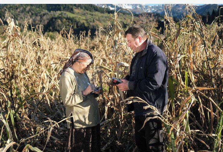 როგორ ხორციელდება პენსიების დისტრიბუცია საქართველოს რეგიონებში?