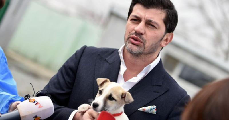 "მივიღებთ კანონს, რომელიც მოგვცემს შესაძლებლობას, მიუსაფარი ცხოველების პრობლემის მოსაგვარებლად კონკრეტული ნაბიჯები გადავდგათ"- კახა კალაძე