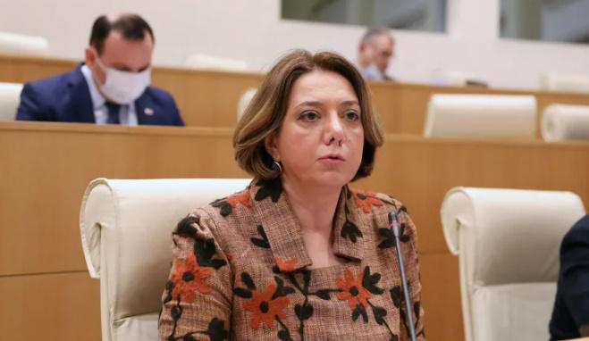 "ამ მაგალითზე ყველამ უნდა ისწავლოს ჭკუა და უპირველესად, საქართველოს ხელისუფლებამ" - სალომე სამადაშვილი ზელენსკის მიერ Georgian Airways-ის დასანქცირებაზე