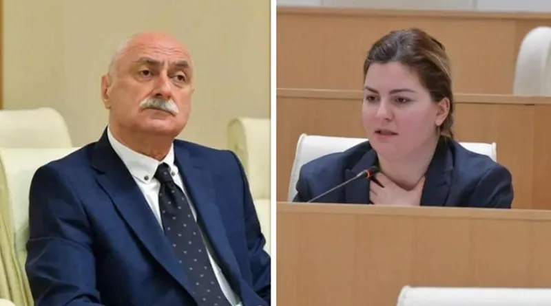 "მინისტრებს “პატარა გოგო“, “გოგუცუნა“ არ შეშვენით - შეგიძლიათ სახელითა და გვარით მოიხსენიოთ" - ანა ნაცვლიშვილი ლადო კახაძეს